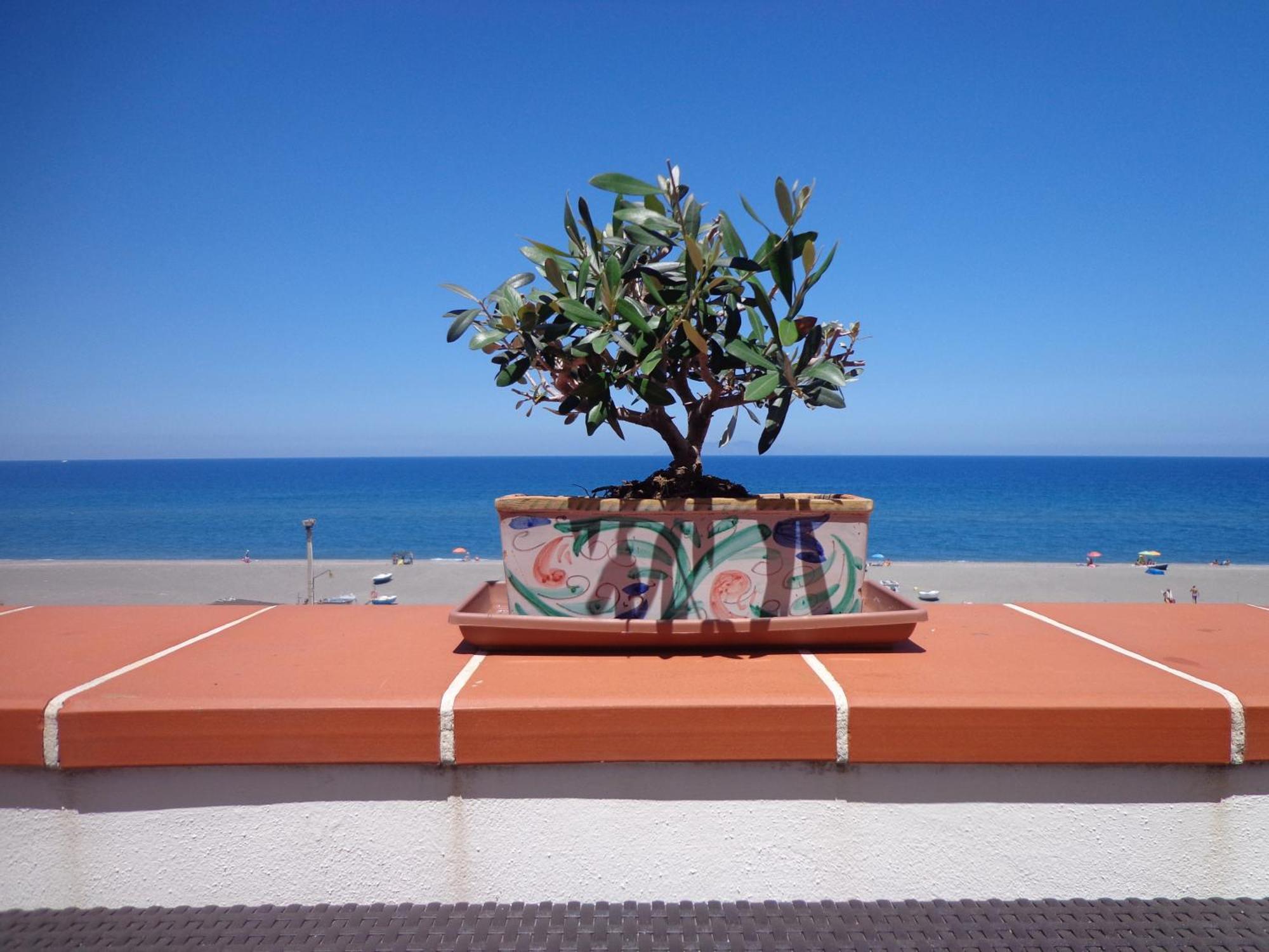 Vacanze Al Mare Patrizia'S Sweet Home แตร์เม วิญาตอเร ภายนอก รูปภาพ