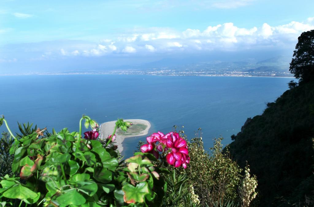 Vacanze Al Mare Patrizia'S Sweet Home แตร์เม วิญาตอเร ห้อง รูปภาพ